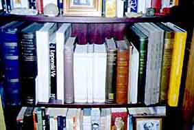 sgfig6.jpg (12940 bytes)